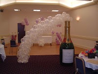 Balloon Decor By DandJ 1086794 Image 0